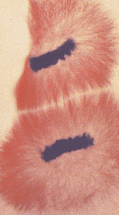 tophase2.gif (126780 octets)