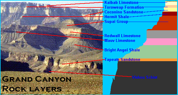 coupestratigrandcanyon.jpg (193218 octets)