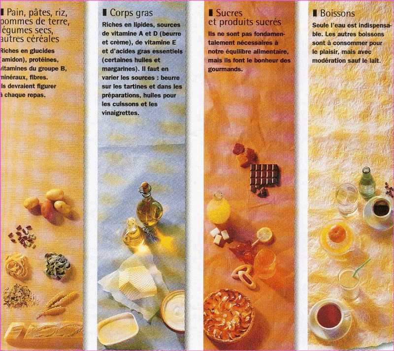 image3.jpg (532732 octets)