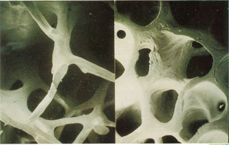 image8.jpg (20070 octets)