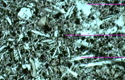 microscope.jpg (21373 octets)